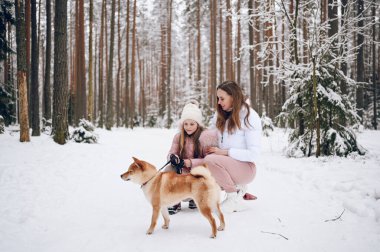 Mutlu aile ferdi genç anne ve pembe, sıcak ve tatlı kız yürüyüş kıyafetleri içinde açık havada, kar beyazı, soğuk kış ormanlarında kırmızı shiba inu köpeğiyle eğleniyorlar. Aile spor tatili aktiviteleri