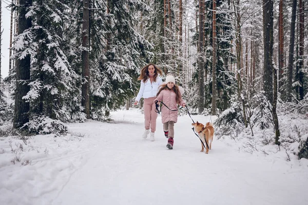 幸せな家族の若い母親とピンクの暖かい外耳道でかわいい女の子雪の白い冬の森の中で赤い柴犬と遊んで歩く屋外 家族スポーツ休暇活動 — ストック写真