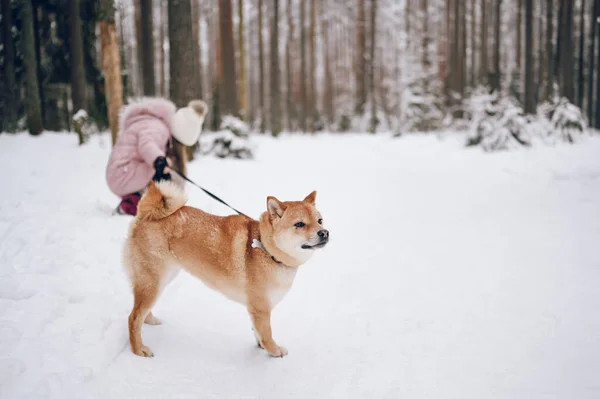 Happy Family Weekend Klein Schattig Meisje Roze Warme Outwear Wandelen — Stockfoto