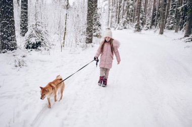 Mutlu aile hafta sonları. Pembe, sıcacık elbiseli küçük tatlı kız dışarıda, karlı, soğuk kış ormanlarında kırmızı shiba inu köpeğiyle eğleniyor. Çocuklar spor tatil aktiviteleri konsepti