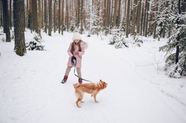 Mutlu aile hafta sonları. Pembe, sıcacık elbiseli küçük tatlı kız dışarıda, karlı, soğuk kış ormanlarında kırmızı shiba inu köpeğiyle eğleniyor. Çocuklar spor tatil aktiviteleri konsepti
