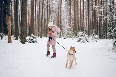 Mutlu aile hafta sonları. Pembe, sıcacık elbiseli küçük tatlı kız dışarıda, karlı, soğuk kış ormanlarında kırmızı shiba inu köpeğiyle eğleniyor. Çocuklar spor tatil aktiviteleri konsepti