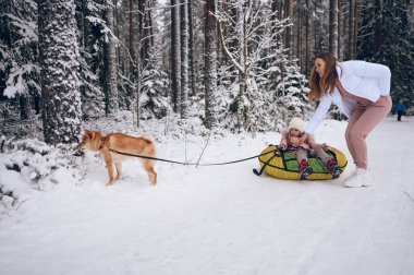 Mutlu anne ve küçük sevimli kız pembe, sıcak, yürüyüş kıyafetleri içinde, kar yağışı gibi beyaz kış ormanlarında kırmızı shiba inu köpeğiyle şişirilebilir kar tüpü sürerken eğleniyorlar. Aile spor tatili aktiviteleri