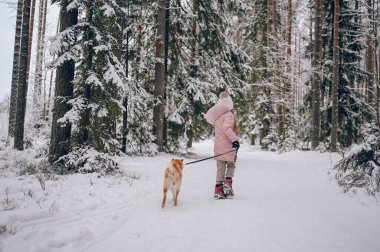 Mutlu aile hafta sonları. Pembe, sıcacık elbiseli küçük tatlı kız dışarıda, karlı, soğuk kış ormanlarında kırmızı shiba inu köpeğiyle eğleniyor. Çocuklar spor tatil aktiviteleri konsepti