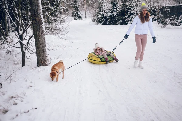 外を歩くピンク色の暖かい外で幸せな母親と小さなかわいい女の子雪の白い寒い冬の森の中で赤い柴犬の犬と楽しい乗り物インフレータブル雪チューブを屋外で持っています 家族スポーツ休暇活動 — ストック写真