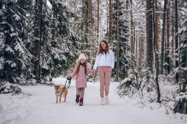 Mutlu aile ferdi genç anne ve pembe, sıcak ve tatlı kız yürüyüş kıyafetleri içinde açık havada, kar beyazı, soğuk kış ormanlarında kırmızı shiba inu köpeğiyle eğleniyorlar. Aile spor tatili aktiviteleri