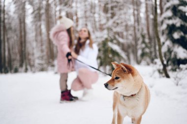 Mutlu aile ferdi genç anne ve pembe, sıcak ve tatlı kız yürüyüş kıyafetleri içinde açık havada, kar beyazı, soğuk kış ormanlarında kırmızı shiba inu köpeğiyle eğleniyorlar. Aile spor tatili aktiviteleri