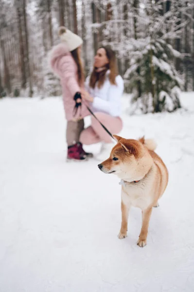 Happy Familie Jonge Moeder Klein Schattig Meisje Roze Warme Outwear — Stockfoto