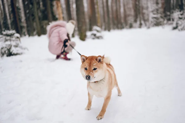 Happy Family Weekend Klein Schattig Meisje Roze Warme Outwear Wandelen — Stockfoto