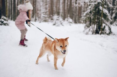 Mutlu aile hafta sonları. Pembe, sıcacık elbiseli küçük tatlı kız dışarıda, karlı, soğuk kış ormanlarında kırmızı shiba inu köpeğiyle eğleniyor. Çocuklar spor tatil aktiviteleri konsepti