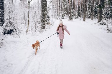 Mutlu aile hafta sonları. Pembe, sıcacık elbiseli küçük tatlı kız dışarıda, karlı, soğuk kış ormanlarında kırmızı shiba inu köpeğiyle eğleniyor. Çocuklar spor tatil aktiviteleri konsepti
