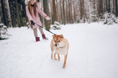 Mutlu aile hafta sonları. Pembe, sıcacık elbiseli küçük tatlı kız dışarıda, karlı, soğuk kış ormanlarında kırmızı shiba inu köpeğiyle eğleniyor. Çocuklar spor tatil aktiviteleri konsepti