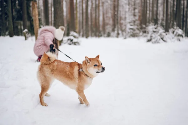 Happy Family Weekend Klein Schattig Meisje Roze Warme Outwear Wandelen — Stockfoto