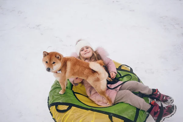 Little Cute Girl Pink Warm Outwear Having Fun Red Shiba — Stock Photo, Image