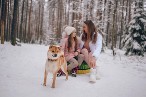 Mãe Feliz Pequena Menina Bonito Roupa Quente Rosa Andando Tendo — Fotografia de Stock