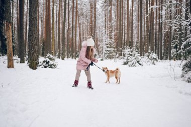 Mutlu aile hafta sonları. Pembe, sıcacık elbiseli küçük tatlı kız dışarıda, karlı, soğuk kış ormanlarında kırmızı shiba inu köpeğiyle eğleniyor. Çocuklar spor tatil aktiviteleri konsepti