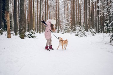 Mutlu aile hafta sonları. Pembe, sıcacık elbiseli küçük tatlı kız dışarıda, karlı, soğuk kış ormanlarında kırmızı shiba inu köpeğiyle eğleniyor. Çocuklar spor tatil aktiviteleri konsepti