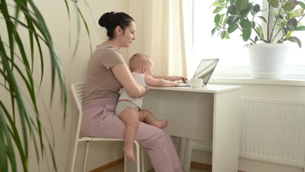 Ung mamma studerar hemifrån med bärbar dator under karantänen, liten söt bebis i knät. Hemmakontoret, föräldraskapet. Fjärrarbete, distansutbildning. Virtuell videokonferens. — Stockvideo