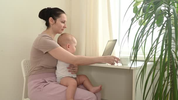 Ung mamma studerar hemifrån med bärbar dator under karantänen, liten söt bebis i knät. Hemmakontoret, föräldraskapet. Fjärrarbete, distansutbildning. Virtuell videokonferens. — Stockvideo