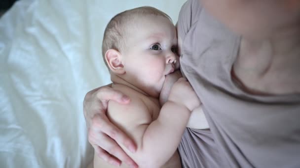 Mamă Tânără Nou Născut Drăguț Copil Îmbrățișându Alăptându Lapte Matern — Videoclip de stoc