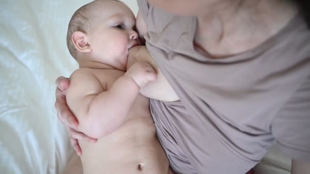 Young mother with newborn cute infant naked baby boy on the bed, holding him on arms, hugging and breastfeeds with breast milk. Healthy child, concept of hospital and happy motherhood. Nursery — Stock Video