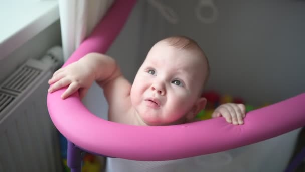 Niedliches Neugeborenes Spielt Laufstall Der Kinder — Stockvideo