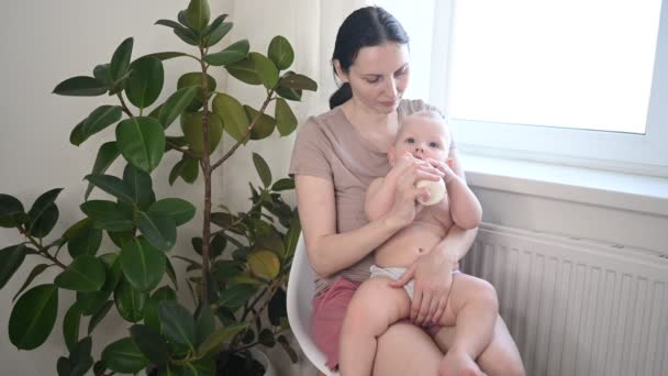 Jonge moeder spelen met schattige zuigeling peuter baby jongen met fles formule of moedermelk tegen van raam en grote huis plant. Gezond kind, concept van ziekenhuis en gelukkig moederschap. Kwekerij. — Stockvideo