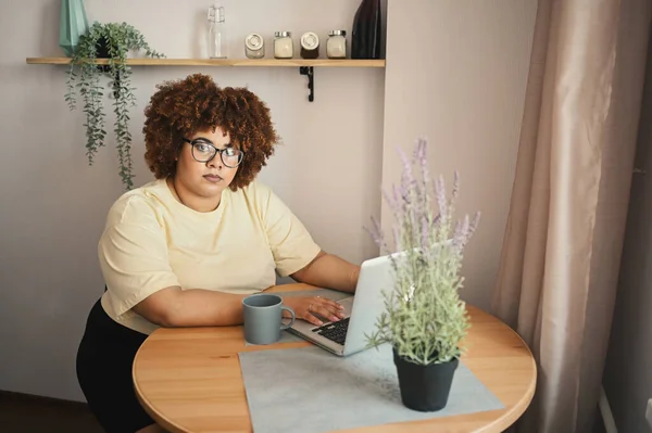Menarik bahagia gaya ditambah ukuran Afrika perempuan kulit hitam mahasiswa afro rambut dalam gelas belajar online bekerja pada komputer laptop di ruang kerja rumah. Keragaman. Pekerjaan jarak jauh, pendidikan jarak jauh. — Stok Foto