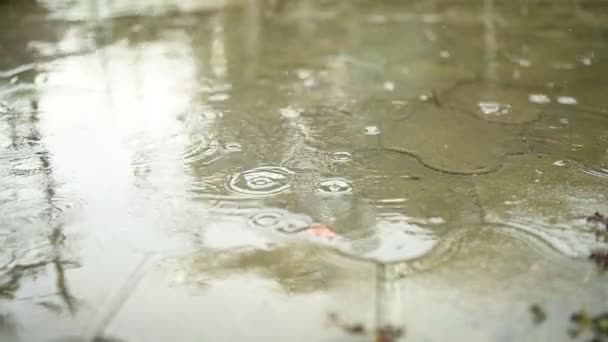 Кола дощу і величезні калюжі на асфальті або тротуарній плиті — стокове відео