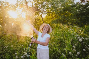 Mutlu yaşlı bir kadın yaz bahçesinde çiçekleri hortumla sularken eğleniyor. Arka planda bir damla su. Çiftçilik, bahçıvanlık, tarım, yaşlı insanlar. Çiftlikte organik sebzeler yetiştiriyor.