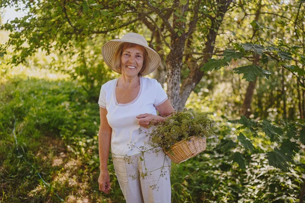 Happy tersenyum tua perempuan tua dengan topi jerami bersenang-senang berpose di taman musim panas dengan bunga di keranjang. Pertanian, berkebun, pertanian, pensiunan orang tua. Tumbuh tanaman organik di pertanian — Stok Foto