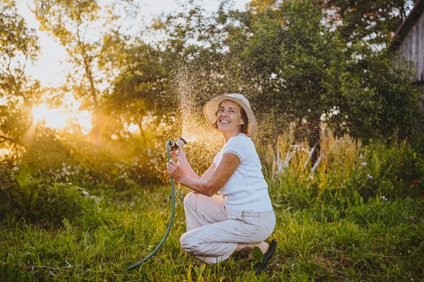 여름 정원에서 호스 로 물주는 재미있는 화초를 가진 연로 한 부인 은행 복하다. 백라이트로 물 한 방울. 농사, 정원가꾸기, 농사, 노인들. 농장에서 유기농 야채를 재배하는 모습 — 스톡 사진