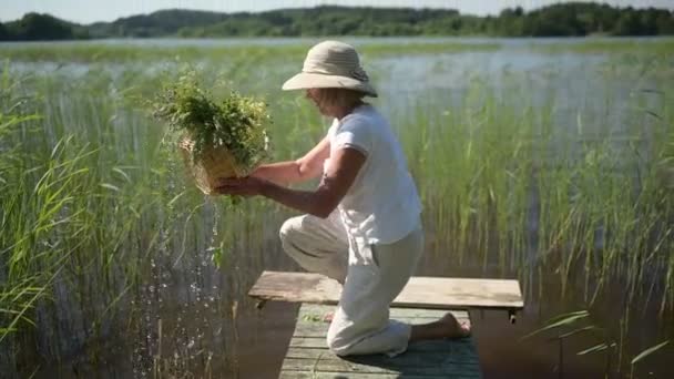 Glad leende äldre äldre kvinna i halm hatt tvättar dopp i naturliga sjöväxter blommor i korg på träpir. Jordbruk, trädgårdsskötsel, jordbruk, pensionärer. Sommarvila i landet — Stockvideo
