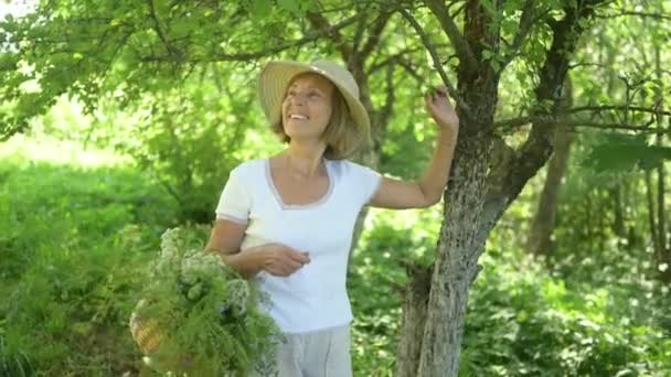 Glad leende äldre senior kvinna i halmhatt har kul poserar i sommarträdgården med blommor i korgen. Jordbruk, trädgårdsskötsel, jordbruk, pensionärer. Odla ekologiska växter på gården — Stockvideo