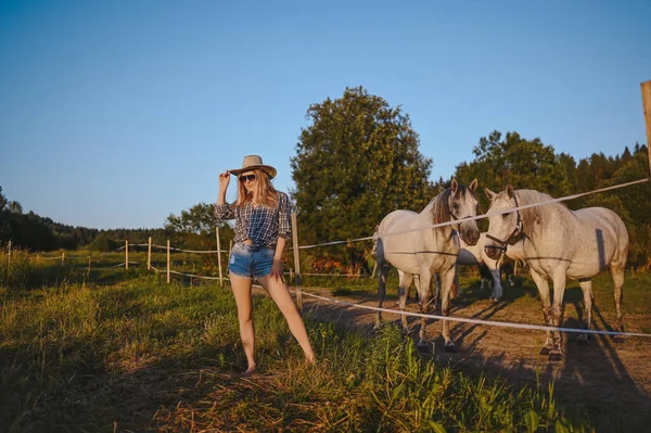 Schöne junge blonde Frau in Safari-Stil mit Hut und kariertem Hemd posiert mit Vollblütern Pferde auf einem Bauernhof in Sonnenuntergang Feld im Freien auf dem Land. Pferde hinter einem Elektrozaun. — Stockfoto