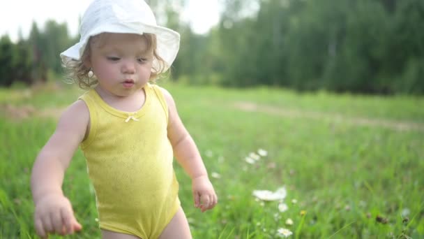 Klein grappig blond meisje kind peuter in geel bodysuit en witte hoed wandelen in het veld met groen gras en madeliefjes buiten in de zomer. Baby plukt wilde bloemen. Gezond concept voor een gelukkige jeugd. — Stockvideo