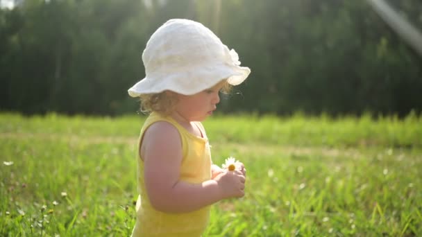 Little funny cute blonde girl child toddler in yellow bodysuit and white hat walking in field with green grass and daisies outside at summer. Baby picks wild flowers. Healthy happy childhood concept. — Stock Video