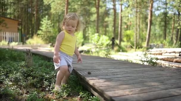 Klein grappig blond meisje kind peuter in geel ondershirt en grijze shorts wandelen spelen op houten eco trail buiten in de zomer op de voortuin platteland. Gezond concept voor een gelukkige jeugd — Stockvideo