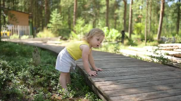 Petite fille blonde mignonne drôle tout-petit en maillot jaune et short gris marchant en jouant sur un sentier écologique en bois à l'extérieur en été à la campagne de la cour avant. Santé concept d'enfance heureuse — Video