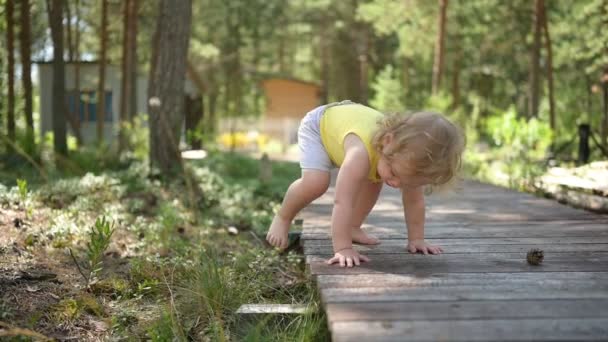 Malá legrační roztomilá blondýnka holčička batole ve žlutém tričku a šedé kraťasy chůzi hrát na dřevěné ekologické stezky venku v létě na předzahrádce venkově. Zdravý koncept šťastného dětství — Stock video