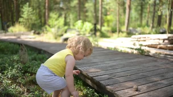 Malá legrační roztomilá blondýnka holčička batole ve žlutém tričku a šedé kraťasy chůzi hrát na dřevěné ekologické stezky venku v létě na předzahrádce venkově. Zdravý koncept šťastného dětství — Stock video