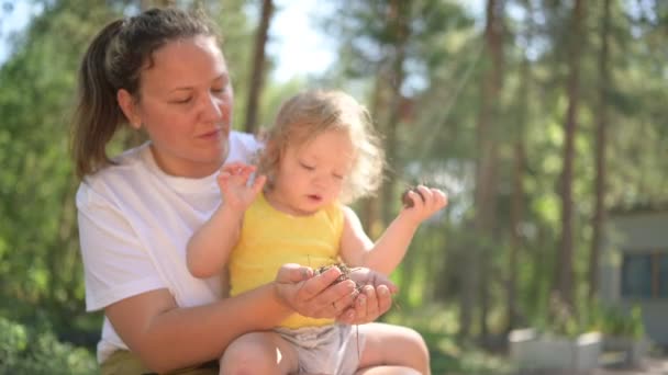 Petit bébé mignon tout-petit fille blonde avec des boucles sur les bras des mères. Mère et fille jouant passer du temps ensemble à l'extérieur à la campagne devant la cour été. Une famille heureuse saine concept d'enfance. — Video