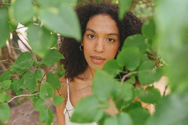 Μόδα γκρο πλαν πορτρέτο του αισθησιακού ελκυστική νεαρή φυσικά όμορφη Αφροαμερικανή γυναίκα με αφρο μαλλιά ποζάρουν στο πάρκο της φύσης σε πράσινο φύλλωμα. — Φωτογραφία Αρχείου