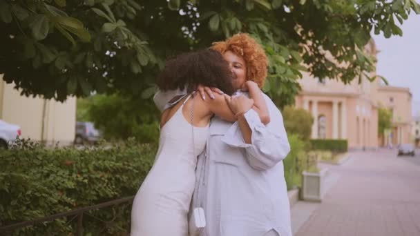 아름다운 행복 한 아프리카 계 미국인 레즈비언 커플 이 여름에 거리 풍경을 껴안고 걷고 있습니다. LGBT 공동체 개념. 사랑의 순간을 함께 즐기며 웃는 여자 친구들 — 비디오
