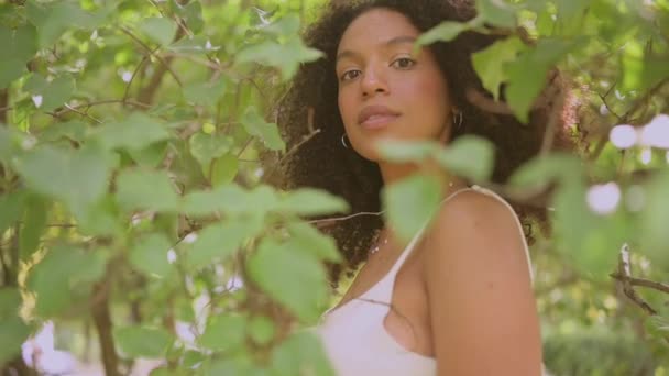 Fashion close-up slow motion portret van sensuele aantrekkelijke jonge natuurlijk mooie Afro-Amerikaanse vrouw met afro haar poseren in de natuur park in groen gebladerte. — Stockvideo