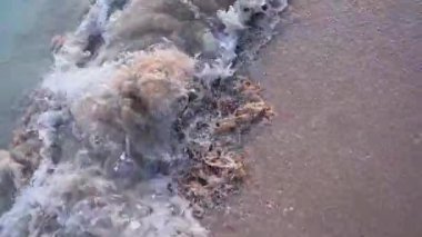Kumlu sahile gelen bir deniz ya da okyanus dalgasının yüzeyi yakın çekim dokusu. Su ve köpükle dolu doğal bir arka plan. Yavaş çekim yaz tatili konsepti.