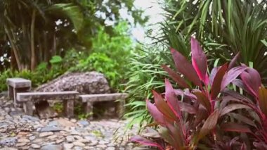 Taşlardan, banklardan, tropik çiçeklerden ve palmiye ağaçlarından oluşan doğal yeşil bir park. Asya turizmini gezin. Kasvetli fırtınalı hava, rüzgarda sallanan bitkiler.
