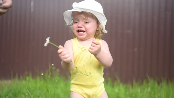 Little funny cute blonde girl child toddler yellow bodysuit white hat crying playing with daisy, background of brown metal fence profiled sheet outside at summer. Mom helps extends hand to baby. — Stock Video