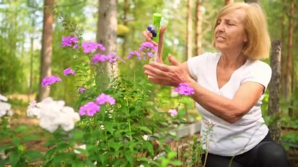 Starší starší zahradnice farmářka pečující o květiny v letní zahradě na venkově, rozprašuje kvetoucí rostliny pomocí rozprašovače vody. Farmaření, zahradničení, zemědělství, důchodci. — Stock video