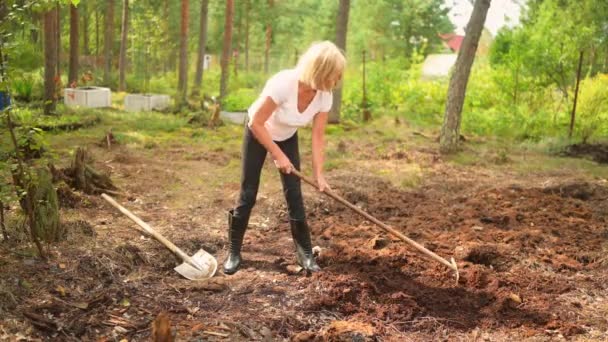연로 한 정원사 여인은 정원의 연장을 사용하여 여름 농장 시골의 땅을 정성들여 파는 일을 한다. 농사, 정원가꾸기, 농사, 은퇴 한 활동적 인 노인들의 개념 — 비디오